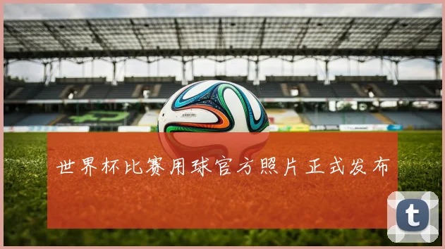 世界杯比赛用球官方照片正式发布