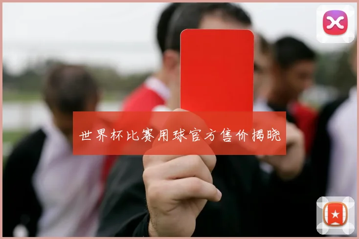 世界杯比赛用球官方售价揭晓