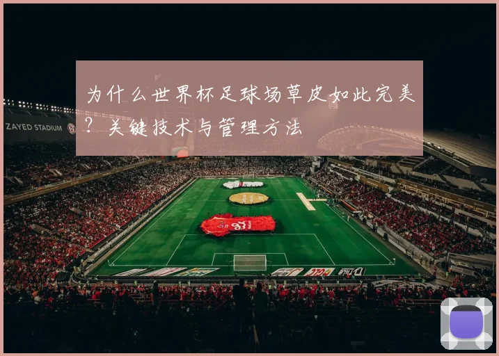 为什么世界杯足球场草皮如此完美？关键技术与管理方法