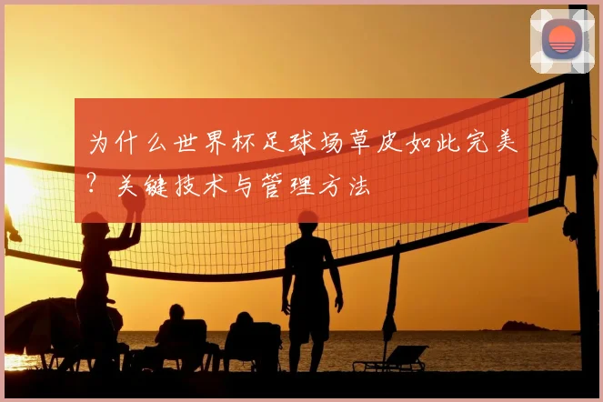 为什么世界杯足球场草皮如此完美？关键技术与管理方法