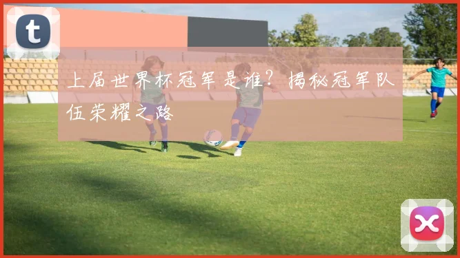 上届世界杯冠军是谁？揭秘冠军队伍荣耀之路